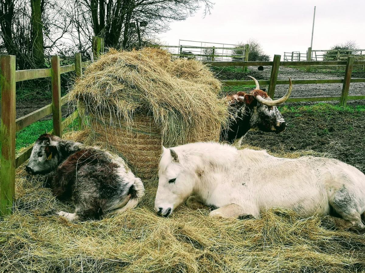 Bed & Breakfast Brampton Dales Farm 3*