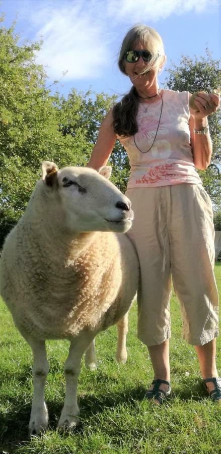Brampton Dales Farm