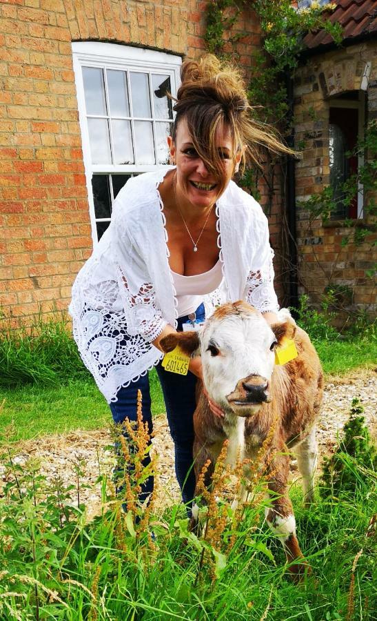 Brampton Dales Farm Gainsborough